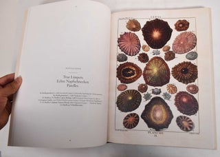Shells - Muscheln - Coquillages: Conchology or the Natural History of Sea, Freshwater, Terrestrial and Fossil Shells