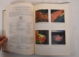 Recent advances in conservation. Contributions to the I.I.C. Rome Conference, 1961