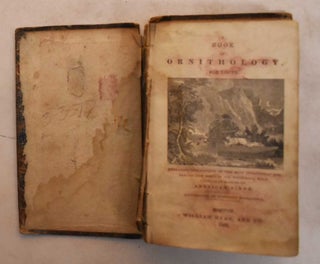 Item #183614 A Book of ornithology, : For youth. : Embracing Descriptions of the Most Interesting...