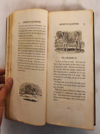 A General History of Quadrupeds