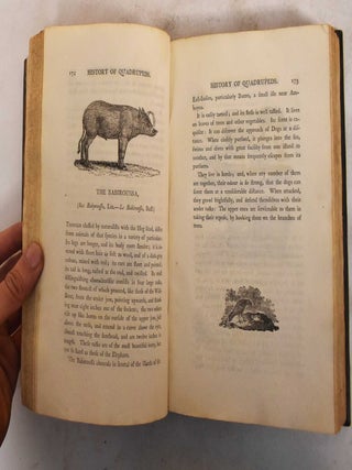 A General History of Quadrupeds