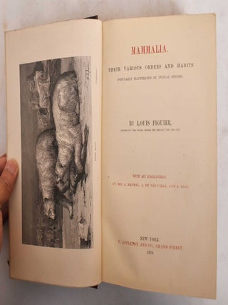 Item #185081 Mammalia. Popularly described by typical species, with numerous anecdotes....