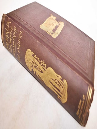 Mammalia. Popularly described by typical species, with numerous anecdotes. Illustrated with 267 engravings, By MM. A. Mesnel, A. De Neuville, and E. Riou