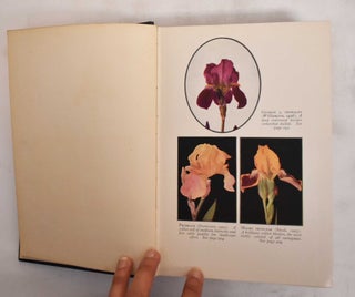Item #186413 Rainbow Fragments; A Garden Book of the Iris. James Marion Shull