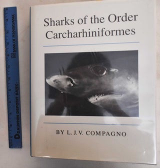 Item #187275 Sharks of the order Carcharhiniformes. Leonad J. V. Compagno