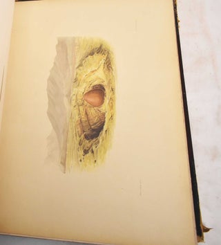 The Necropolis of Ancon in Peru: A Contribution to Our Knowledge of The Culture and Industries of the Empire of the Incas Being the Results of Excavations Made on the Spot; Volume 1, The Necropolis and its Graves