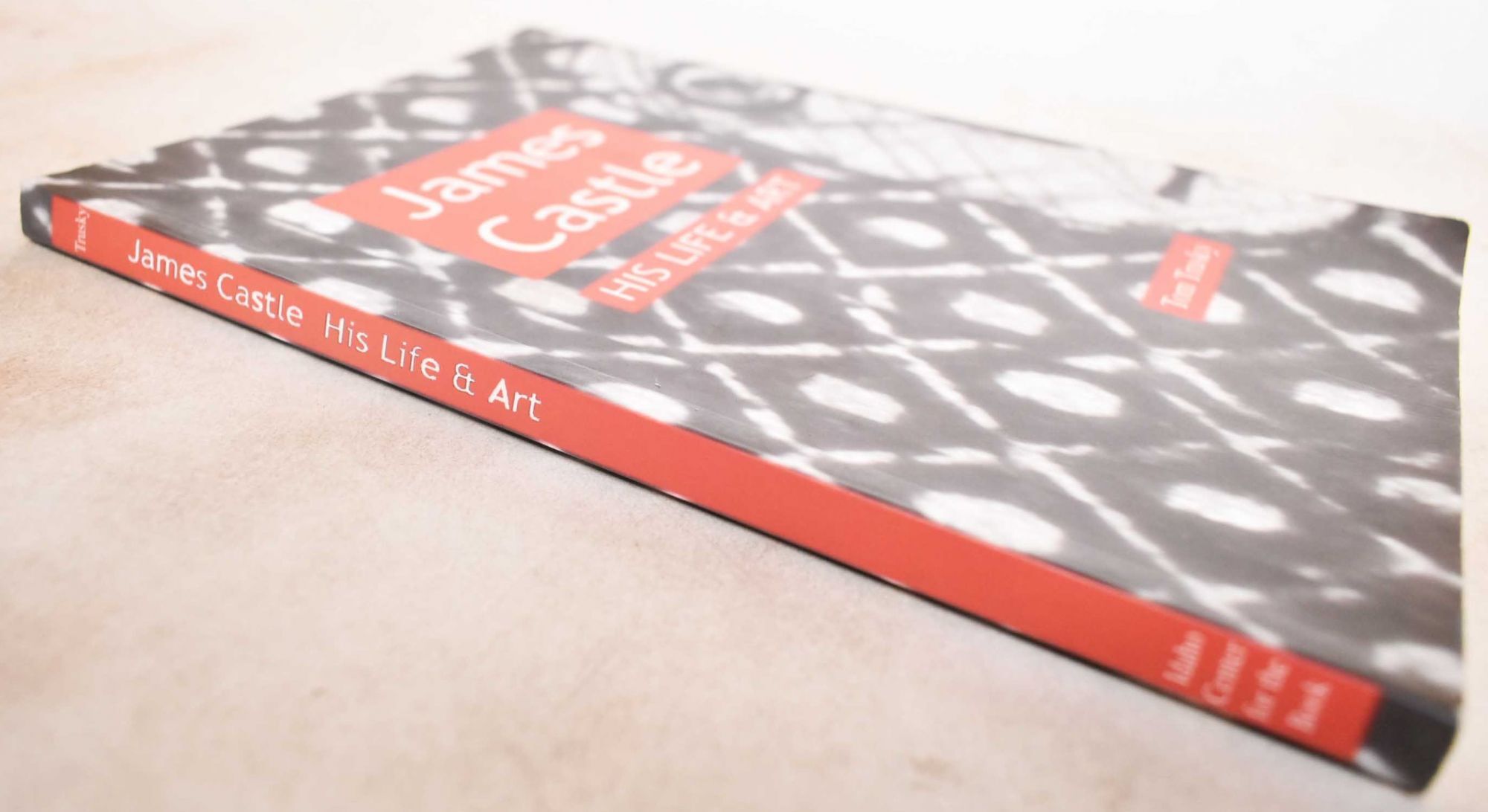 James Castle : His life & art | Tom Trusky