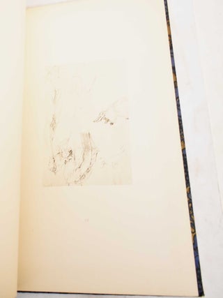 Zeichnungen Von Albrecht Durer in Nachbildungen (Abtheilung I-IV, V-XXII, XXIII- XXV, XXVI-XLVIII, XLIX, and VII Band/ Volumes 1, 2, 3, 4, 5, and 7)