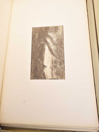 Quarante Cliches-Glace de J.B.C. Corot, C. Daubigny, E. Delacroix, J.F. Millet, Th. Rousseau Tires Sur les Plaques Provenant de la Collection de M. Cuvelier