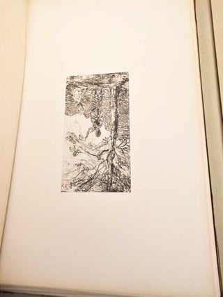 Quarante Cliches-Glace de J.B.C. Corot, C. Daubigny, E. Delacroix, J.F. Millet, Th. Rousseau Tires Sur les Plaques Provenant de la Collection de M. Cuvelier