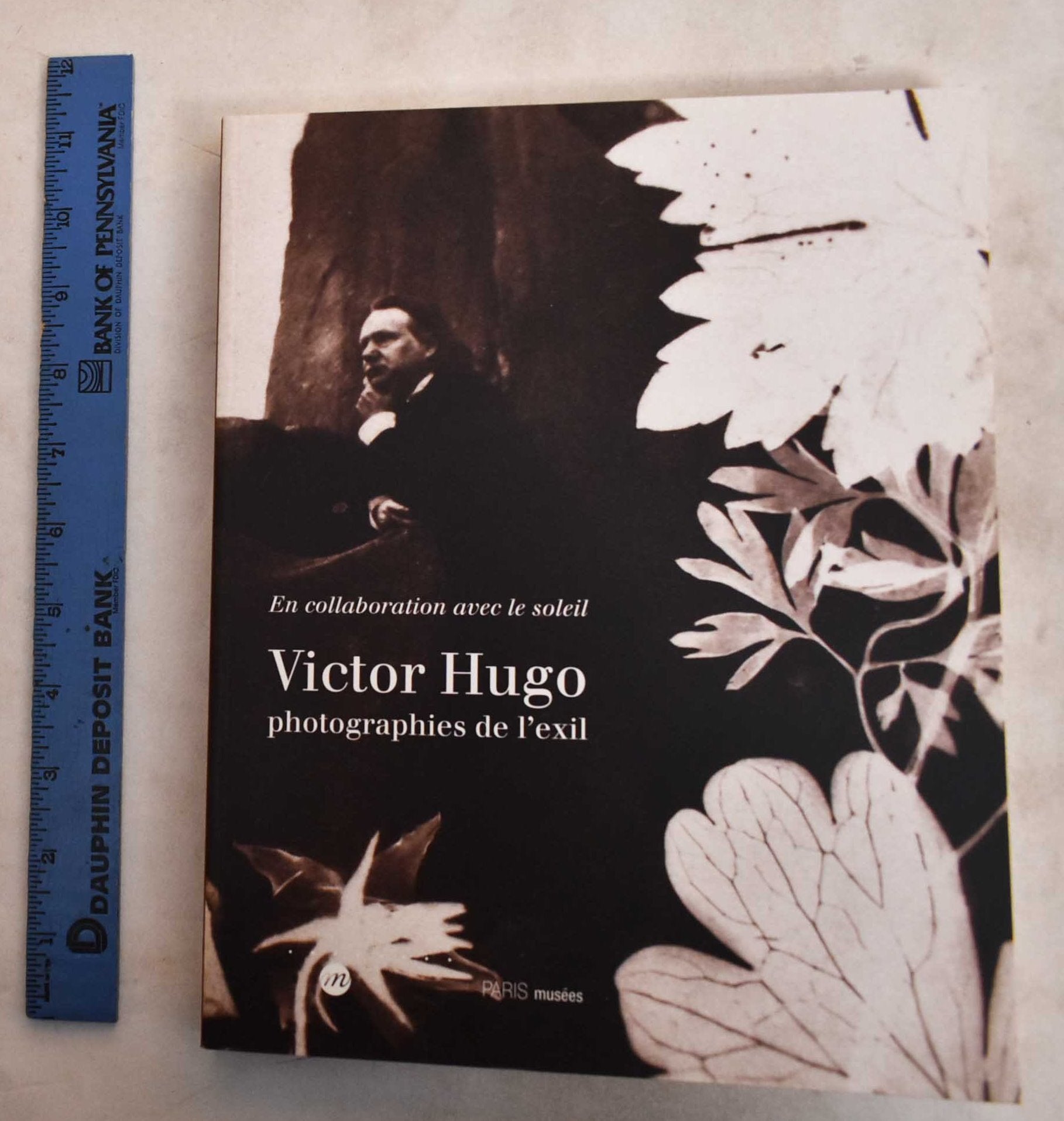 Victor Hugo: Photographs of Exile: in Collaboration With the Sun ...
