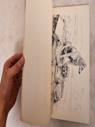 American Art Galleries: Inauguration of New Galleries, Works From the Salon of '84 and Other American Paintings Contributed by the Artists