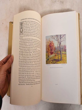 The Art of Colour