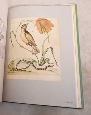 William Bartram: Botanical and Zoological Drawings, 1756-1788
