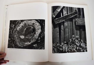 Ansel Adams, Vol. I, The Eloquent Light