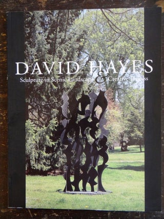 Item #20869 David Hayes: Sculpture in Scenic Landscape & Creative Process. NY: Picker Art Gallery...