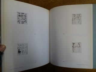 Brice Marden, Prints 1961-1991: A Catalogue Raisonne