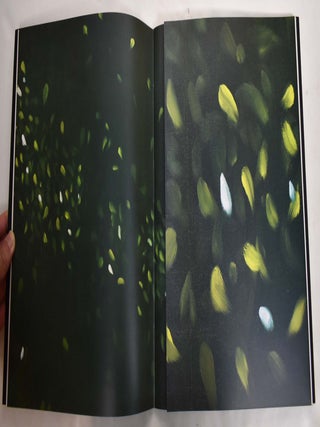 Alex Katz: Large Paintings