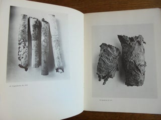 Irving Penn: Photographs in Platinum Metals--Images 1947-1975
