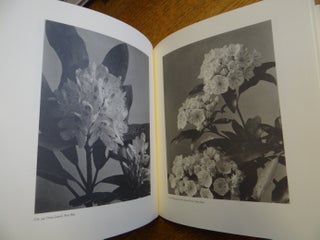 "No Record So True": The Wildflower Photographs of Edwin Hale Lincoln (1848-1938)