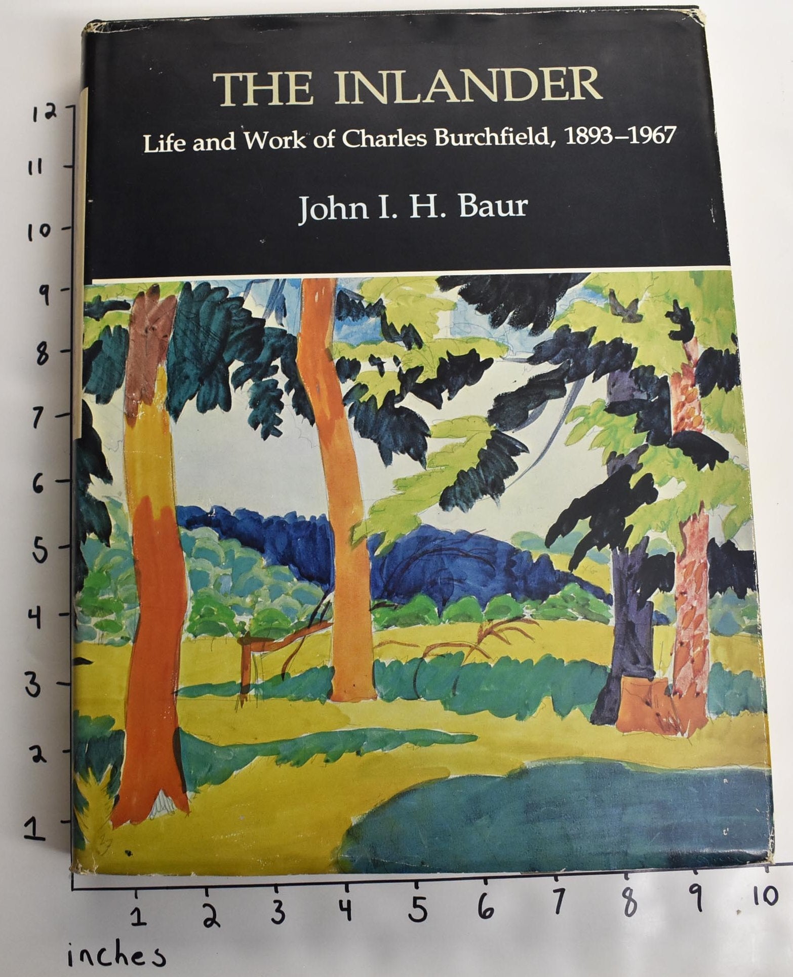 The Inlander: Life and Work of Charles Burchfield, 1893-1967 | John I ...