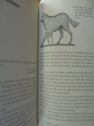 Yankee Weathervanes, Illustrated with drawings by Corinne Pascoe